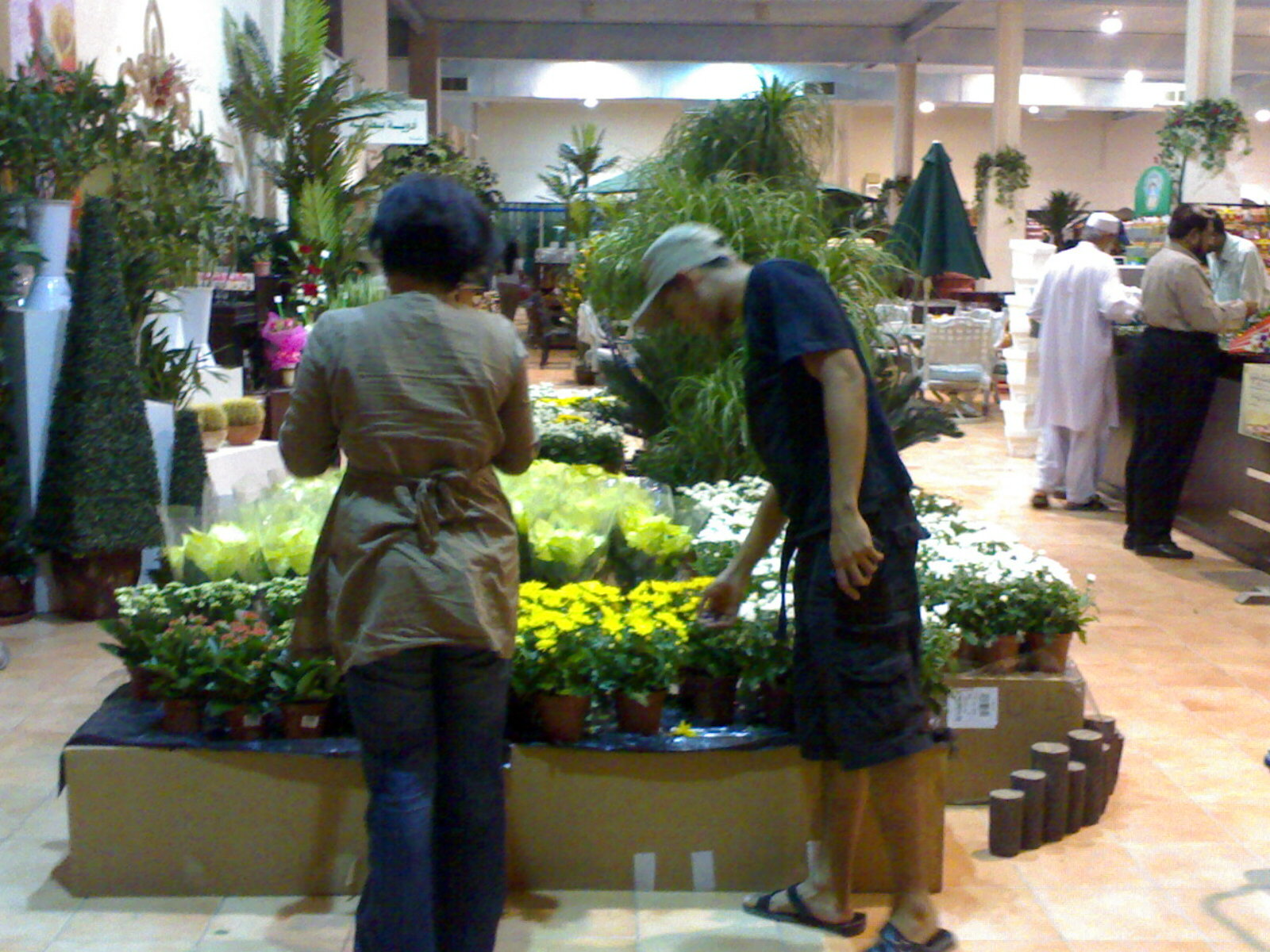Sanabis (Bahrain) Daily Photo Florist and Garden Nursery at Jidhaf