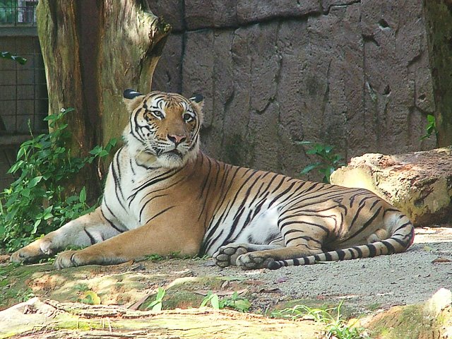 [DSCF4832.JPG]