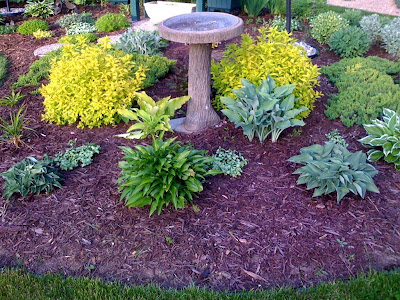 Our Garden Path Bird Bath Flower Bed Filling In Nicely - Bird Bath In Garden Bed Our Garden Path Bird Bath Flower Bed Filling In Nicely - Bird Bath In Garden Bed