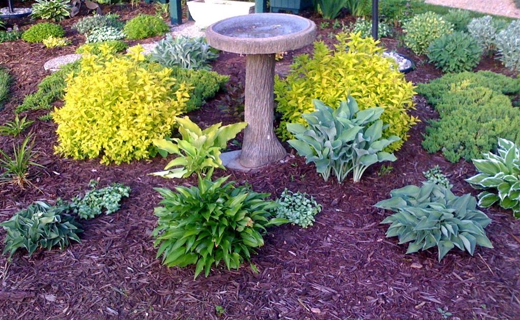 Our Garden Path Bird Bath Flower Bed filling in nicely!