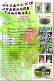 新店崇光社大1001期-植物組織培養課程招生海報