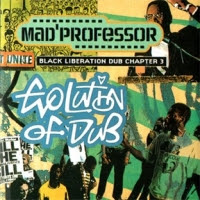 The Evolution Of Dub