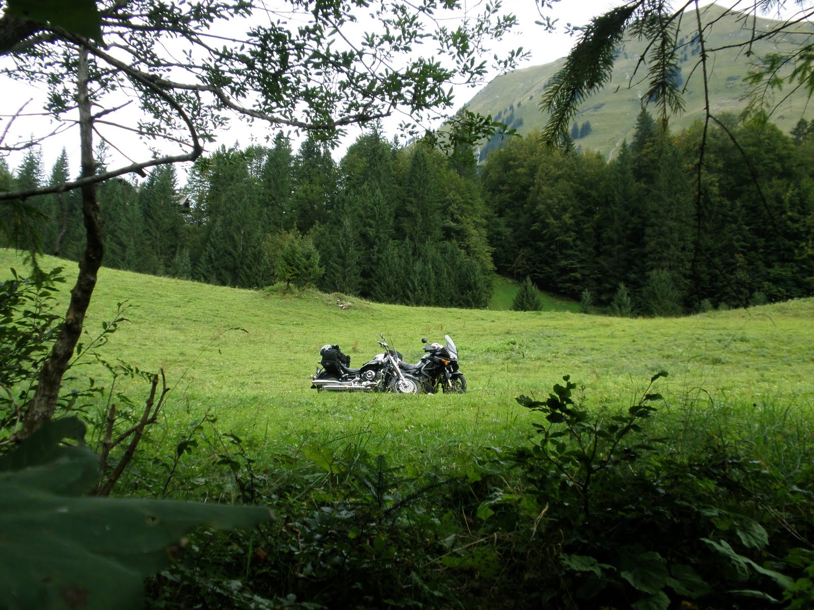[P9160247.JPG]