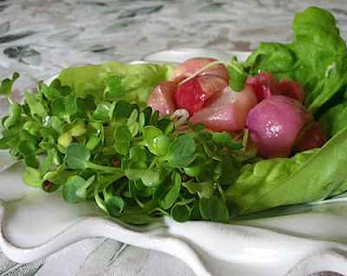 Radishes, quick-cooked in the microwave