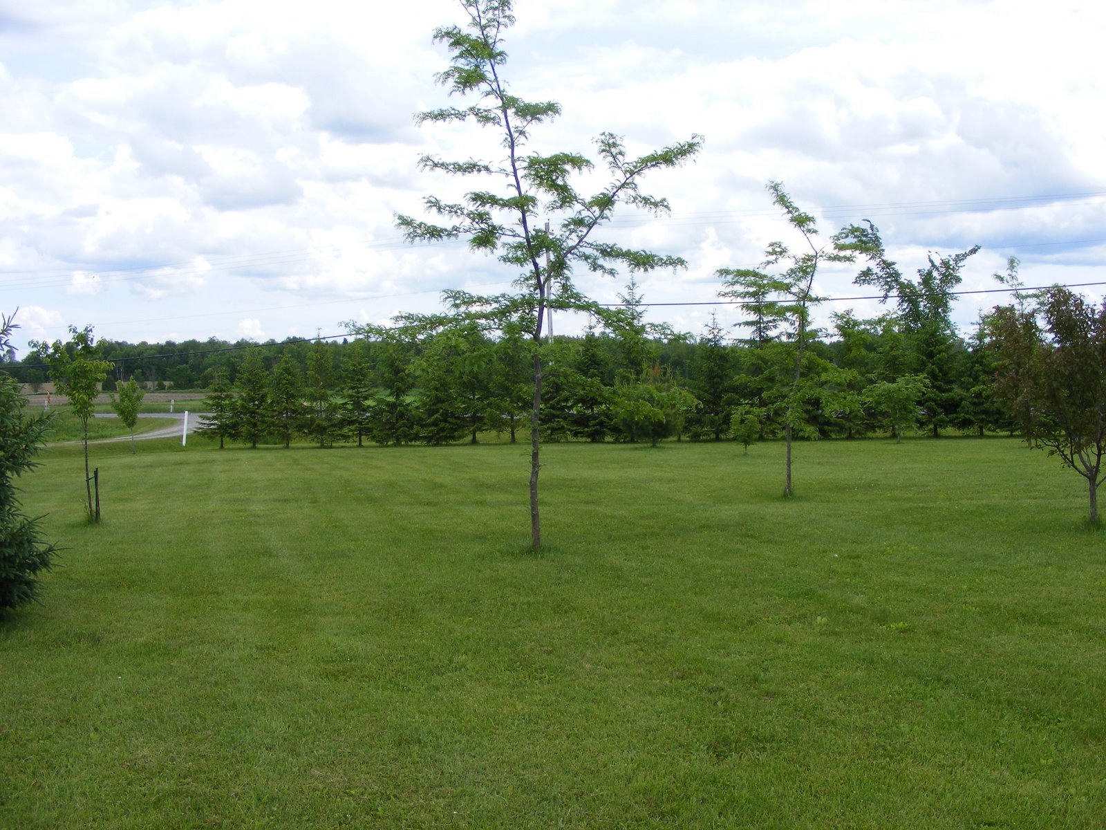 [DSCF6335.JPG]