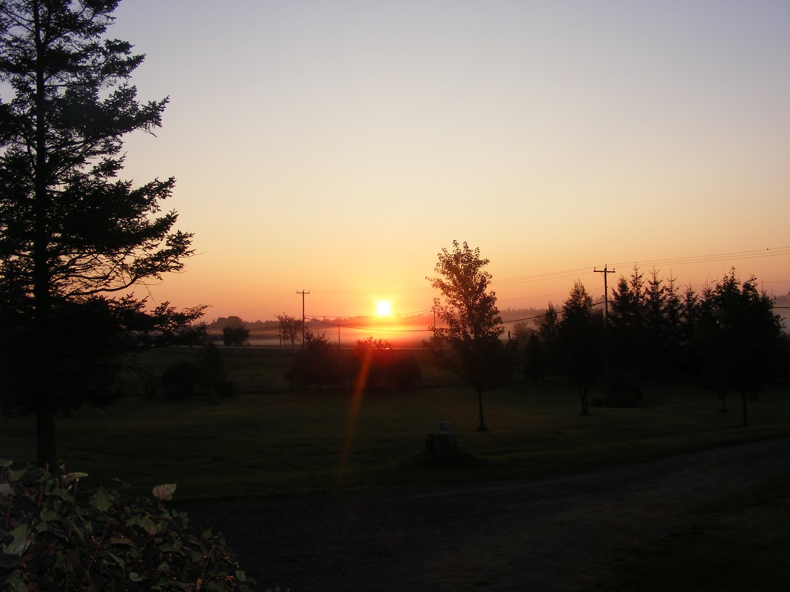 [DSCF7914.JPG]