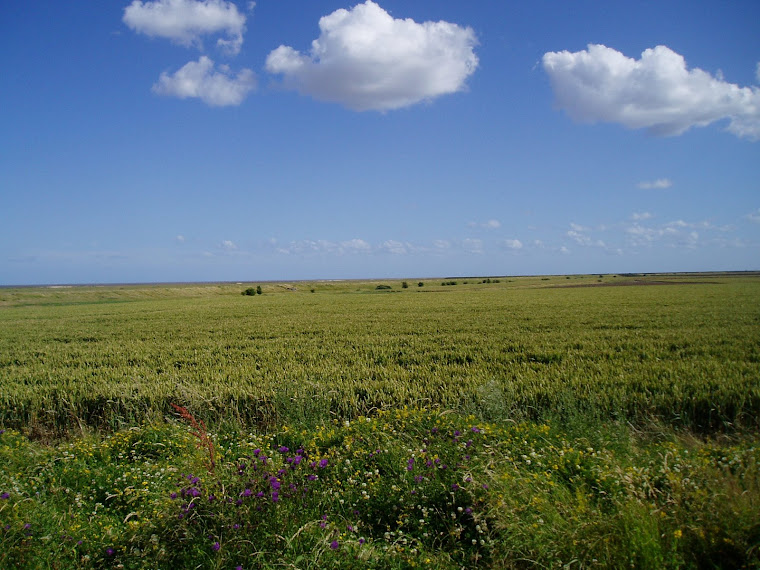 Bradwell 5/7/08