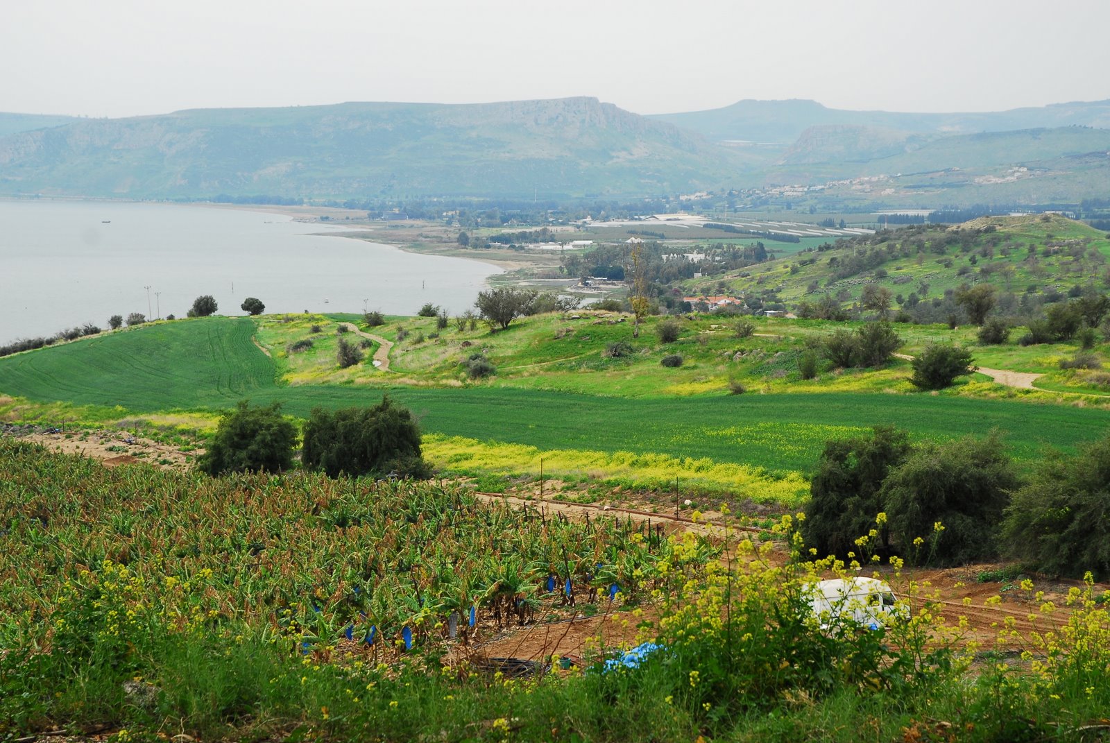 [MMP_0166.JPG]