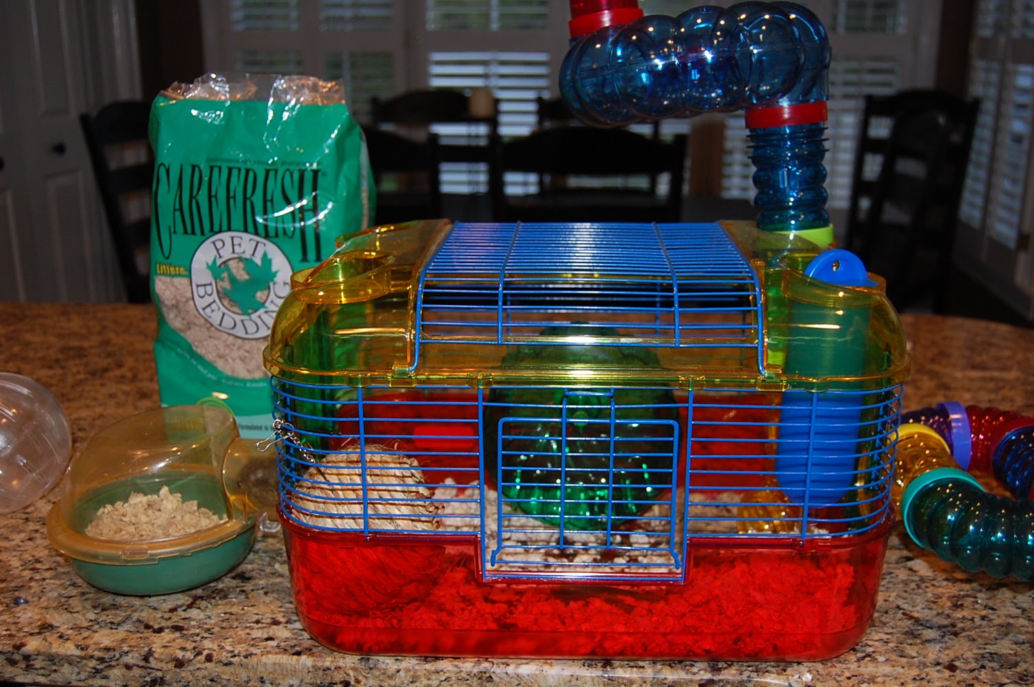 Ashley Glanzer Photography How to clean a hamster's cage