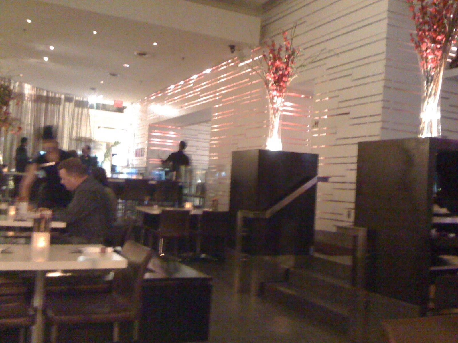 Spring Rolls Toronto