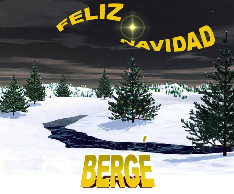 [Navidad+2007.JPG]
