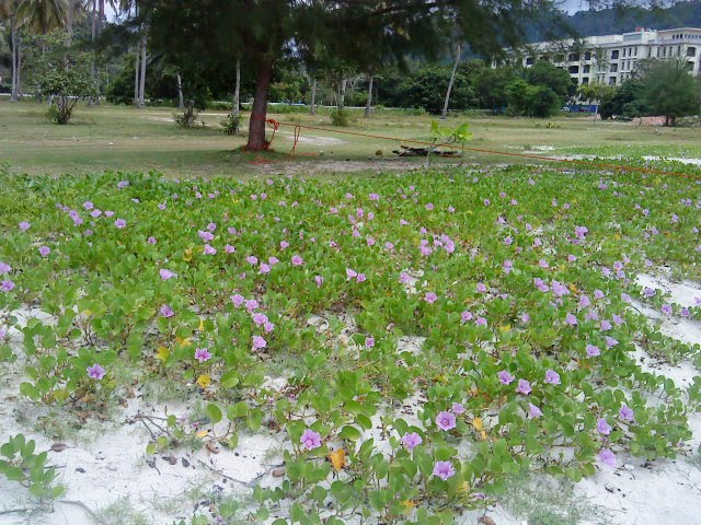 [DSC00997.JPG]