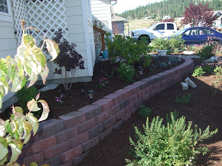 THE FOLKS AT HOME: Front Yard Landscaping
