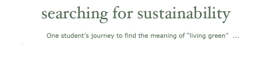Searching for Sustainabilty