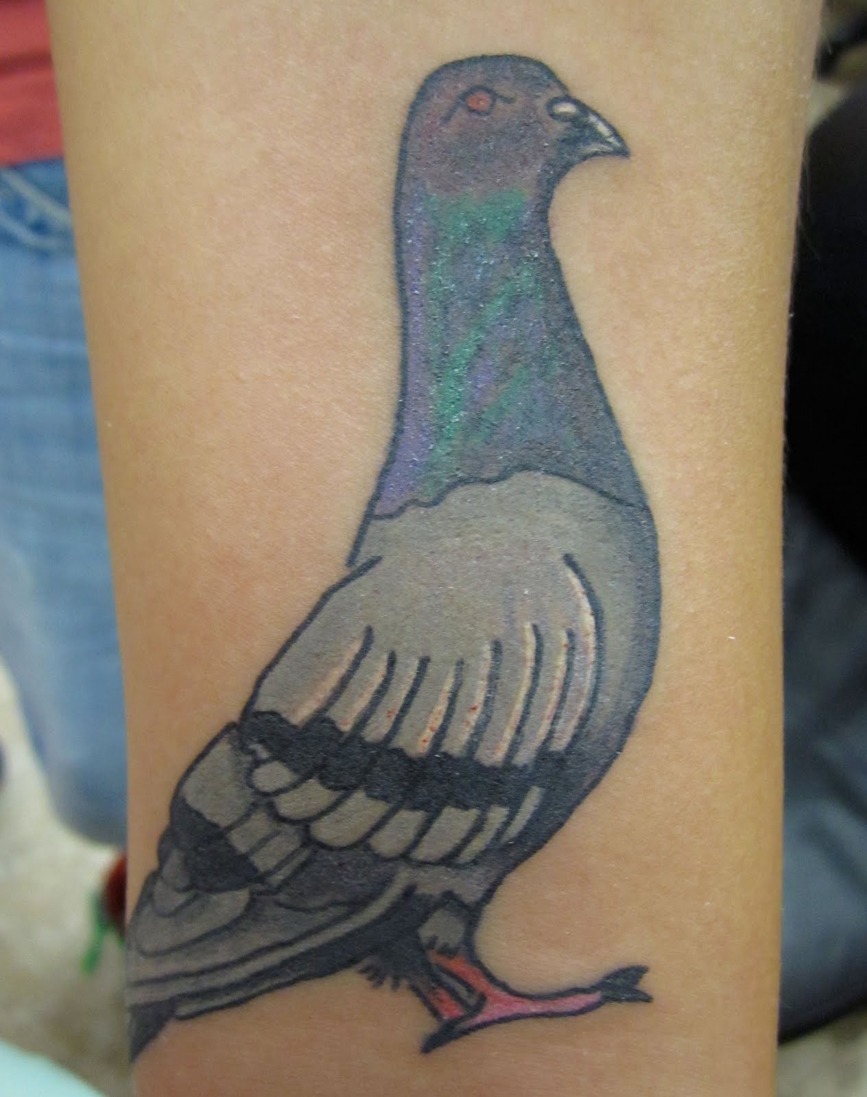 Racing Pigeon Tattoo