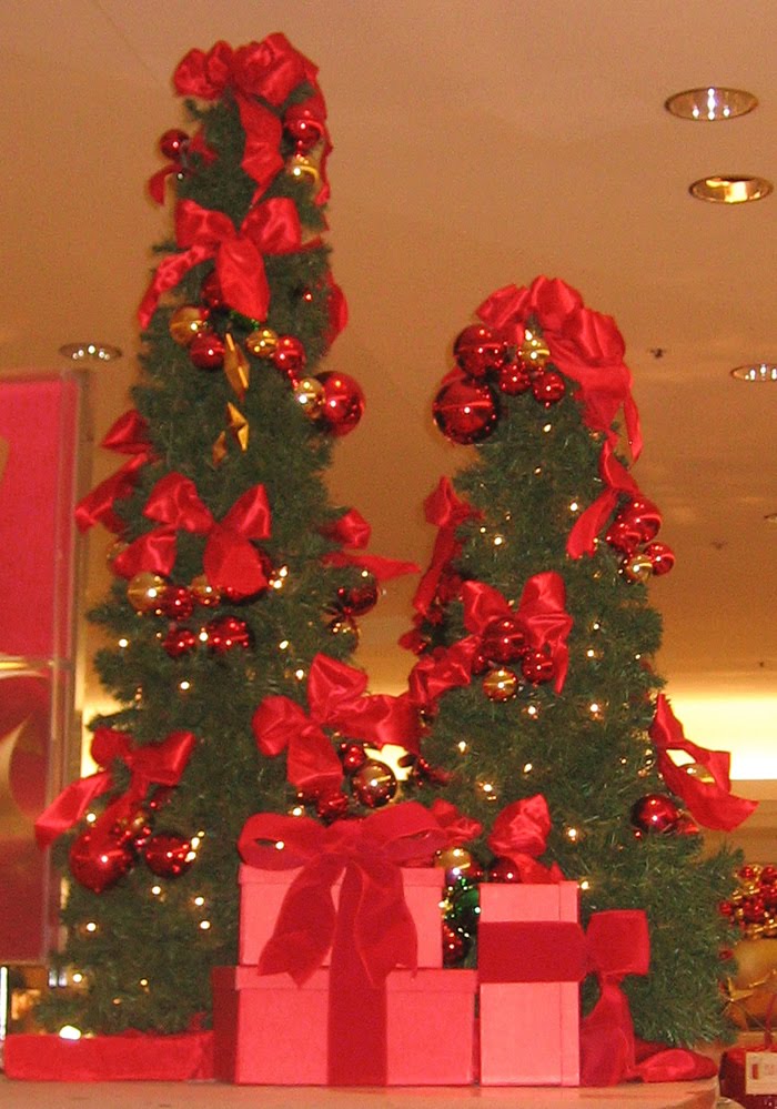 A Family Tree of Holidays Christmas Trees Trip to Cherry Creek