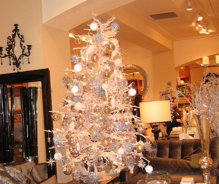 A Family Tree of Holidays Christmas Trees Trip to Cherry Creek