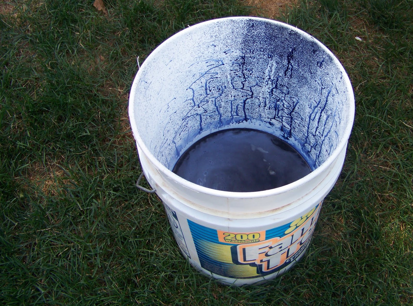 The Olde Stone House Dyeing Hydrangeas