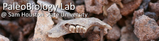 SHSU PaleoBiology Lab