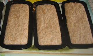 Sourdough bread after rising