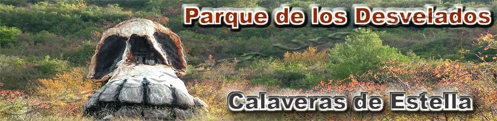 parquelosdesvelados-calaverasestellla