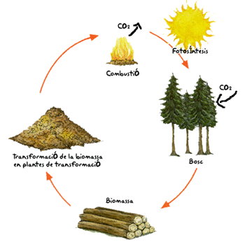 Energia Biomassa