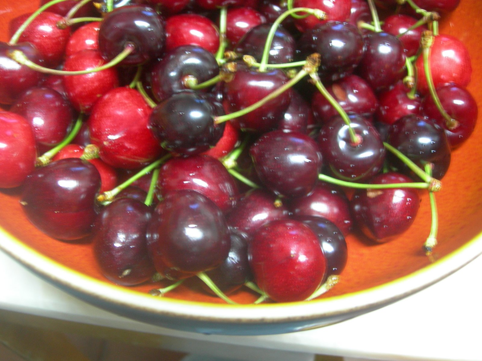 [DSCN9681.JPG]