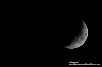 fotografia naturalistica - luna