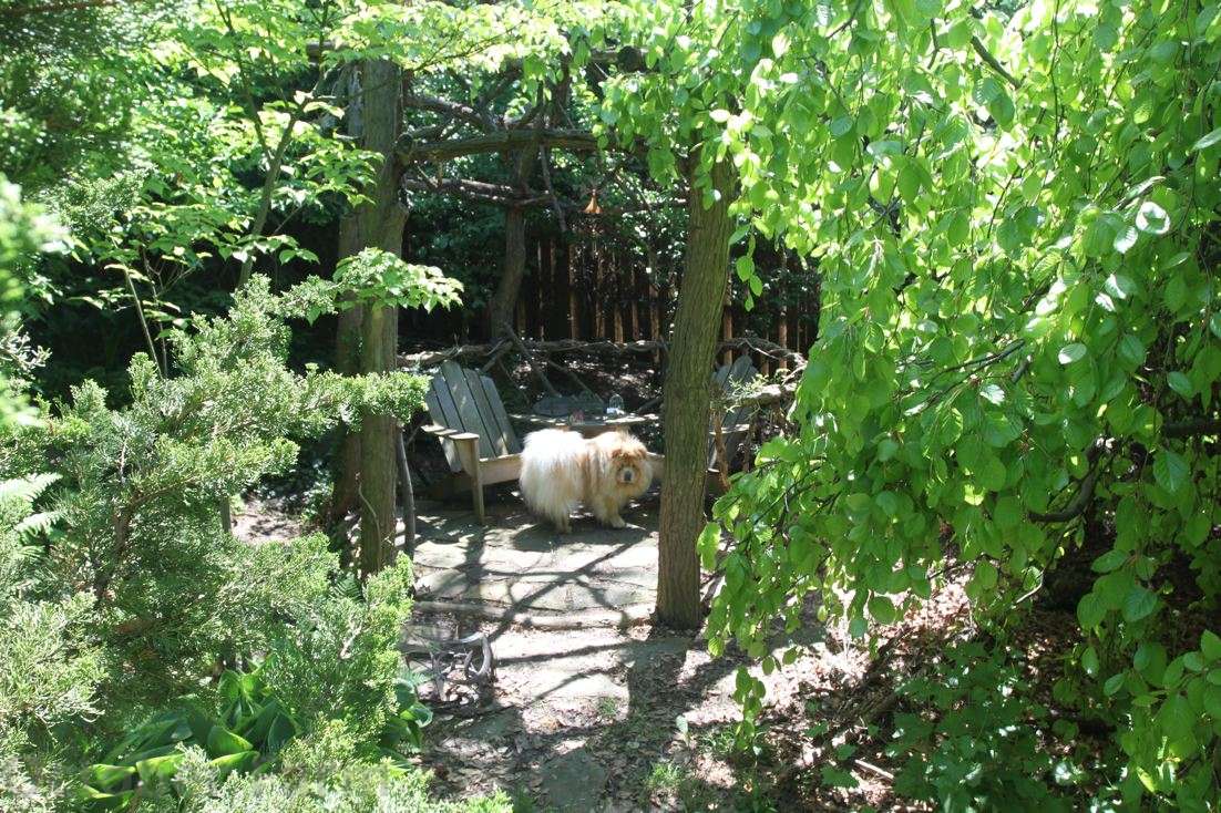 DIY Garden Decorations