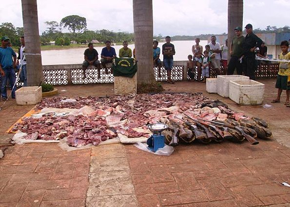 [apreensaoibama.jpg]