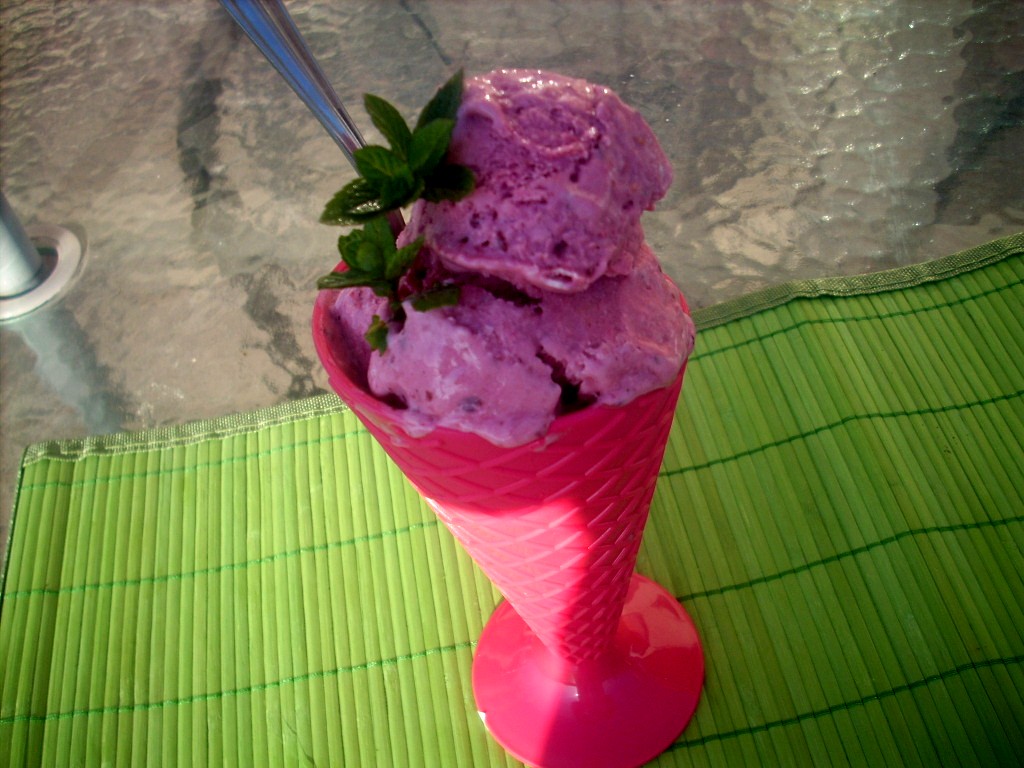 Canela kitchen (gloria) Raspberries and yogurt Ice Cream