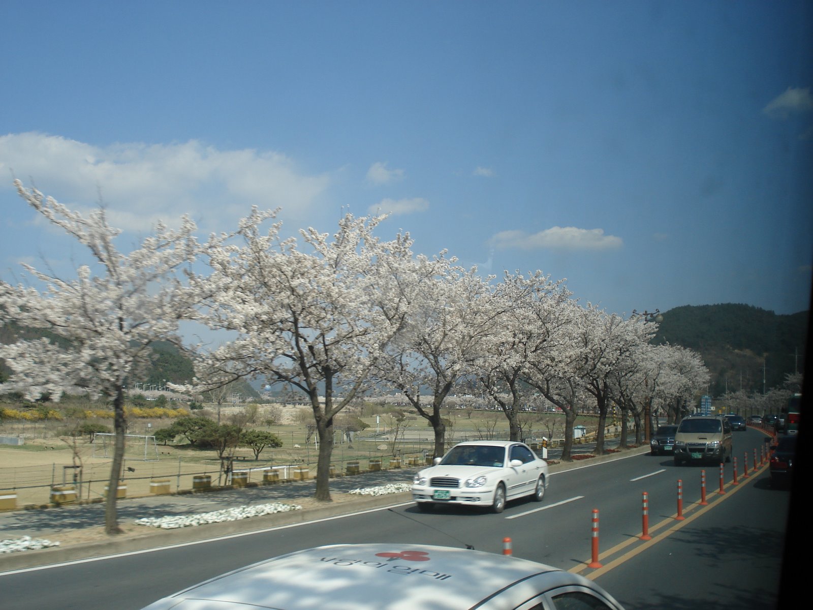 [DSC00146.JPG]
