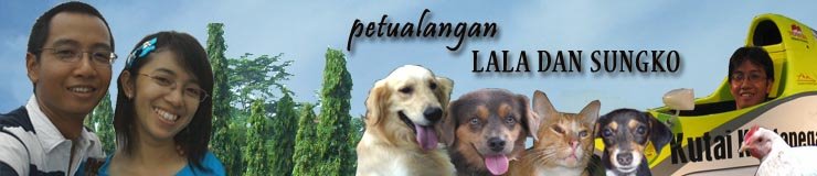 Petualangan Lala & Sungko
