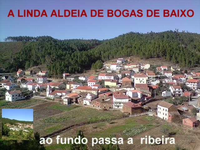 [bogas+0.JPG]