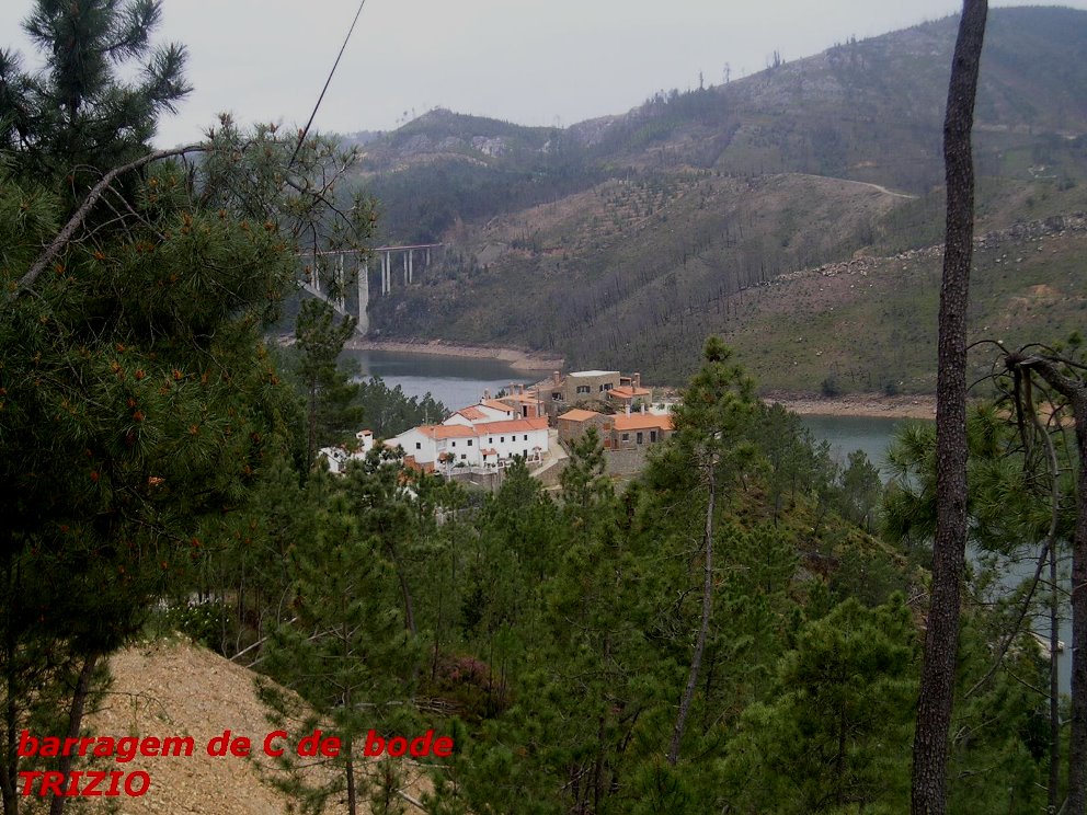[P2260503.bmp]