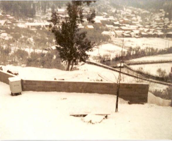 [neve.jpg]