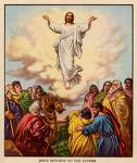 [jesusreturns.jpeg]