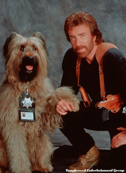 Chuck Norris Dog