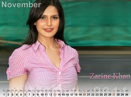 zarine khan pics 2011. Zarine Khan Calendar 2011: New Year Calendar 2011, Bollywood Actress Desktop