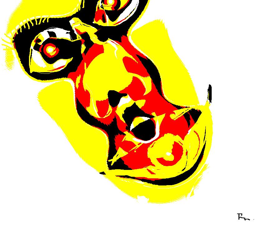 [vis+2.jpg]