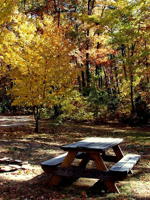 fall picnic