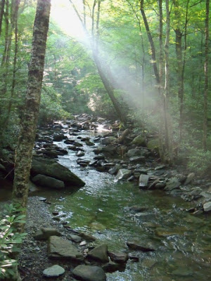 reflections of the smokies
