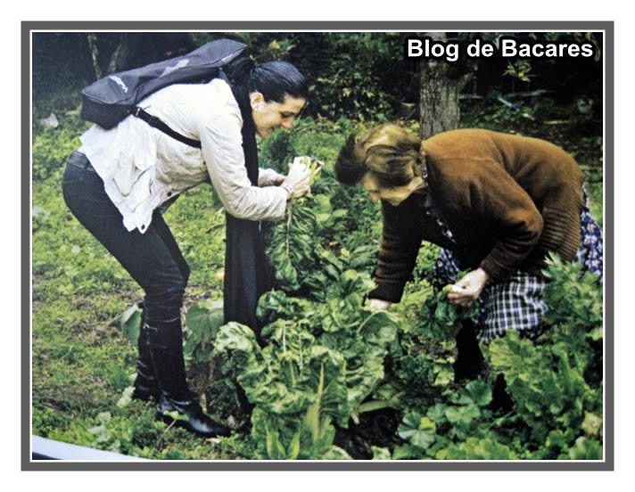 [Calendario_2009_Bacares_octubre_agricultura.JPG]