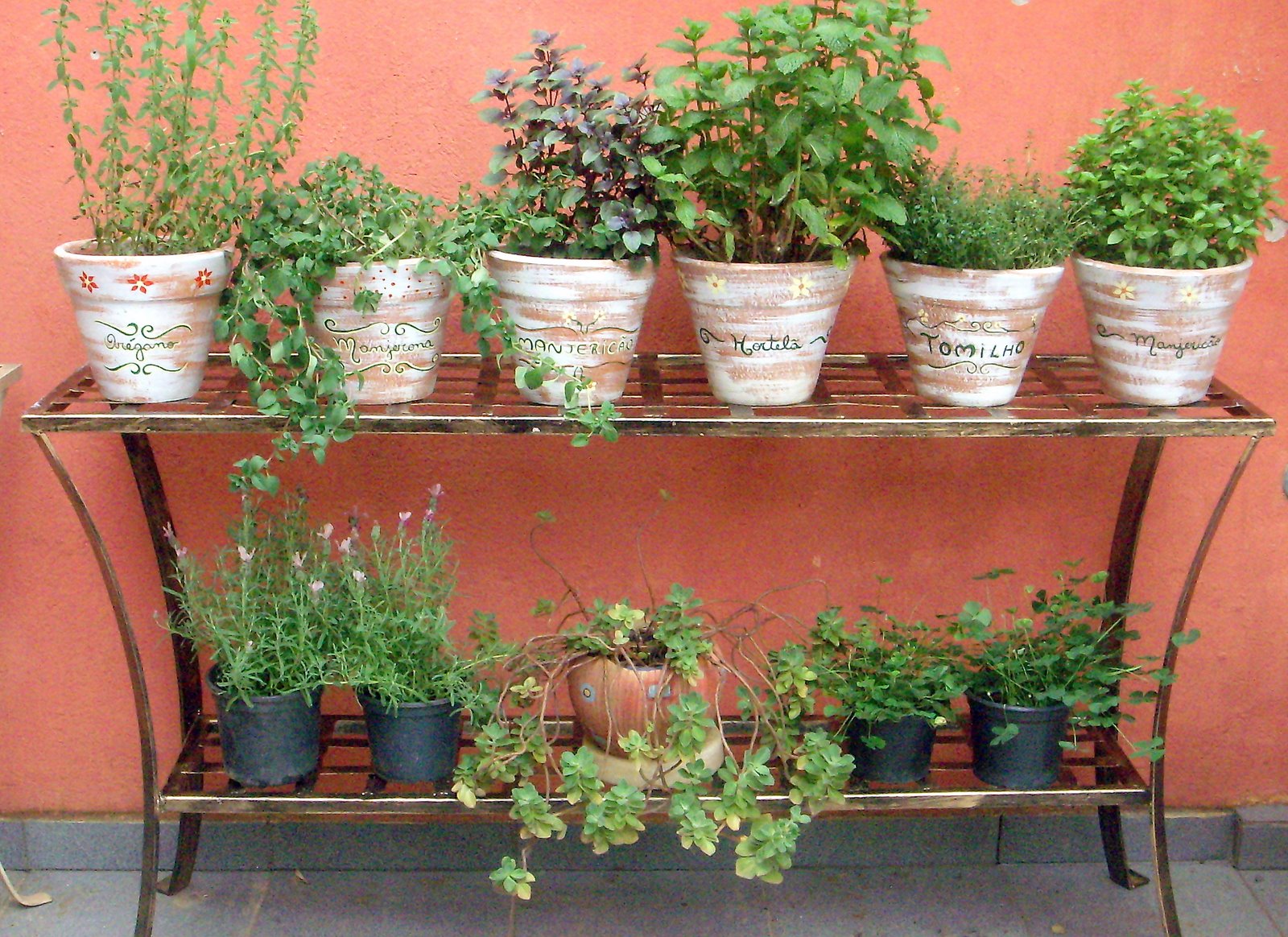 [DSCN3536.JPG]