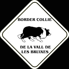 Criador recomendado: Border Collies y Shetland Sheepdog