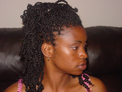 Kristen Lock The Blogspot Nafy Collection Kinky Twists