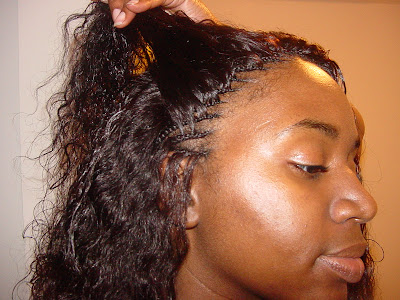 Tree Braids Wet and Wavy