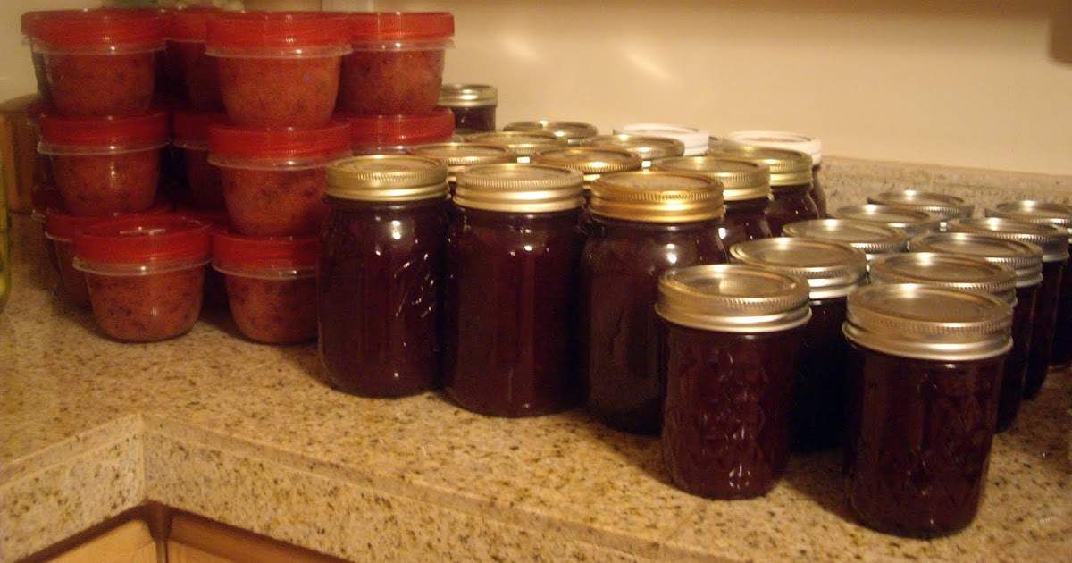 utheeemir plum freezer jam recipes