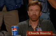 ESSE BLOG É APROVADO POR CHUCK NORRIS!