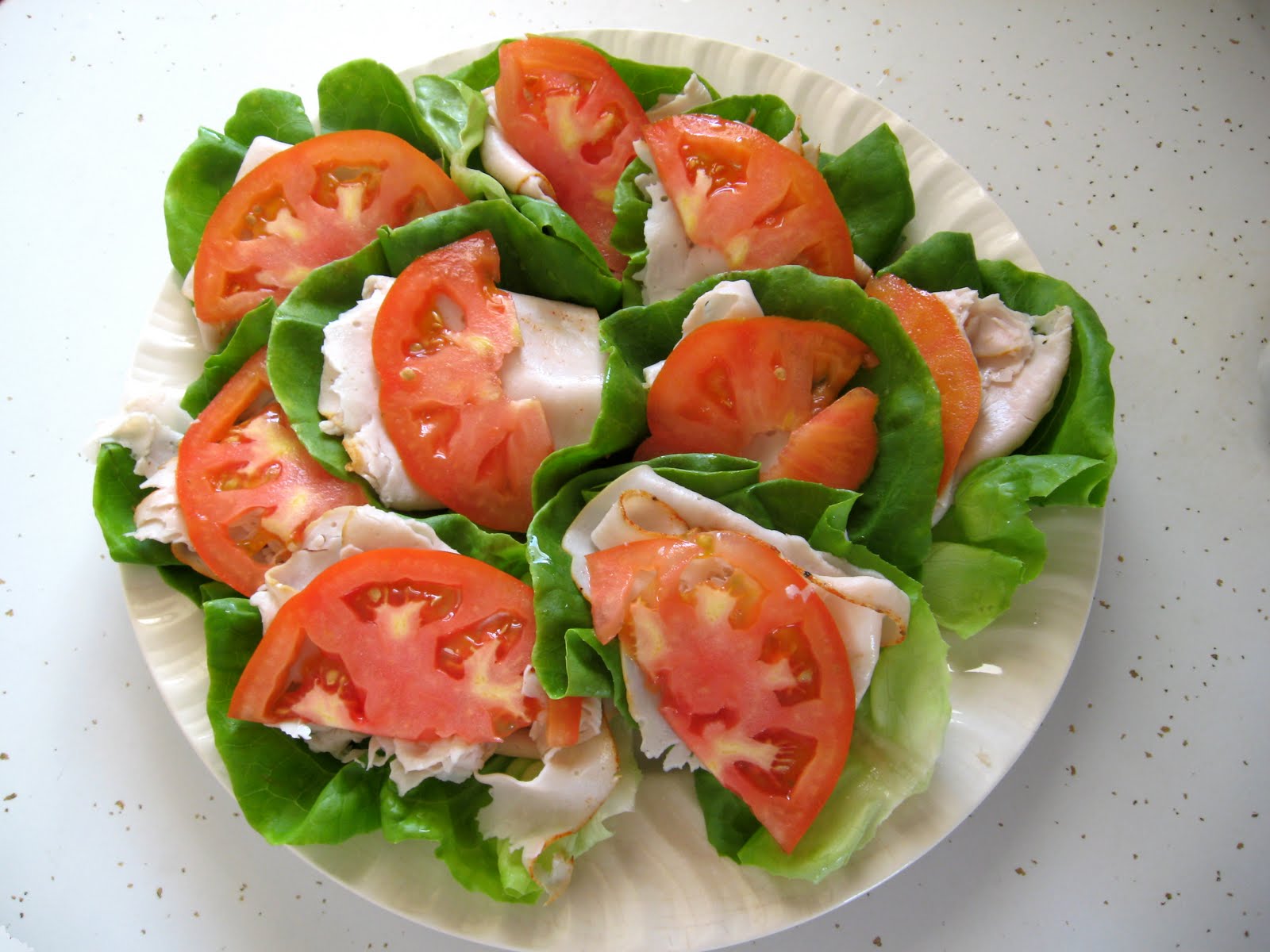 Turkey and Tomato Lettuce Wraps Primal Palate Paleo Recipes